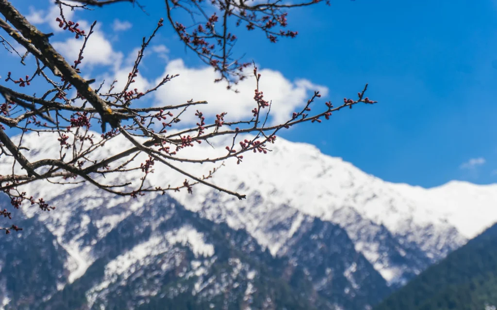 Mountain view from harshil