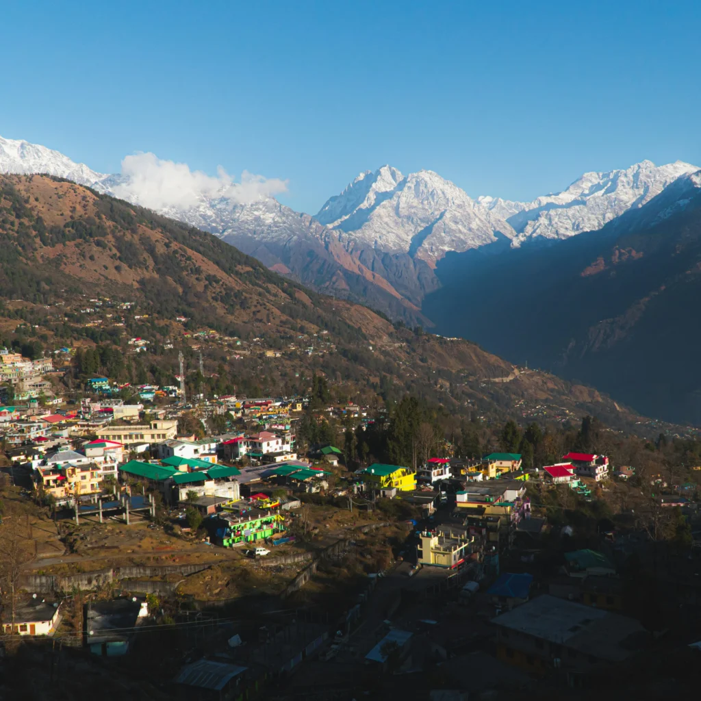A village in munsiyari