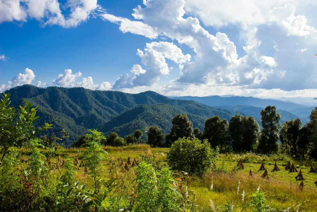 Binsar Wildlife Sanctuary