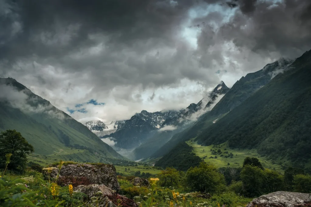 Valley-of-flowers